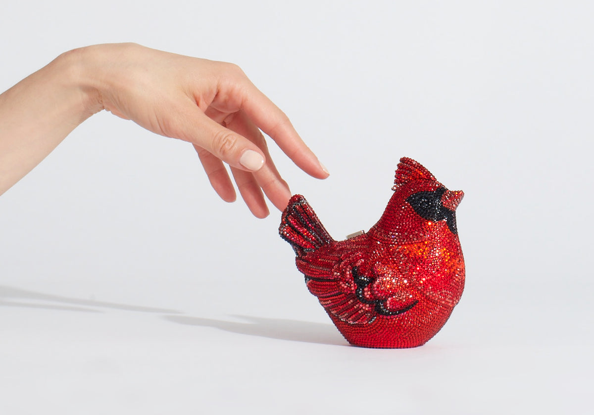 Bird Cardinal