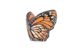 Butterfly Marigold-1