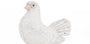 Dove Arya