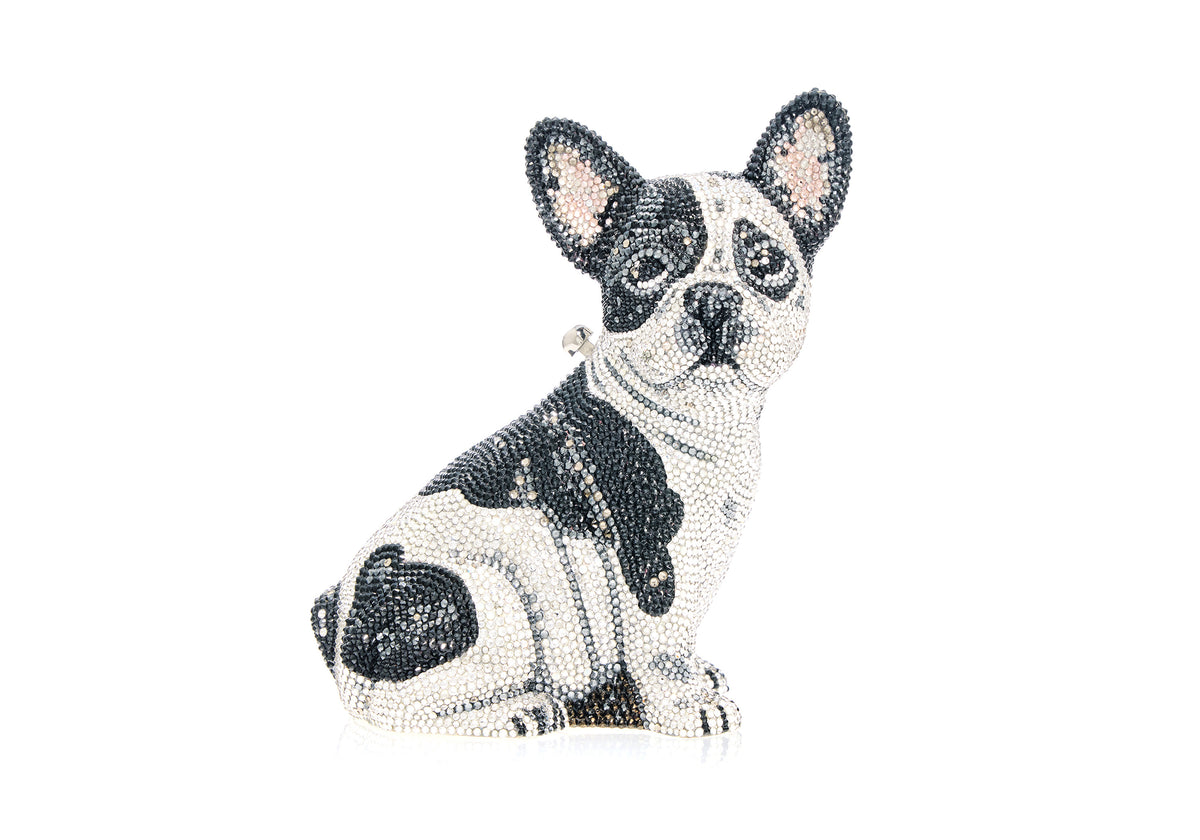 French Bulldog Fred