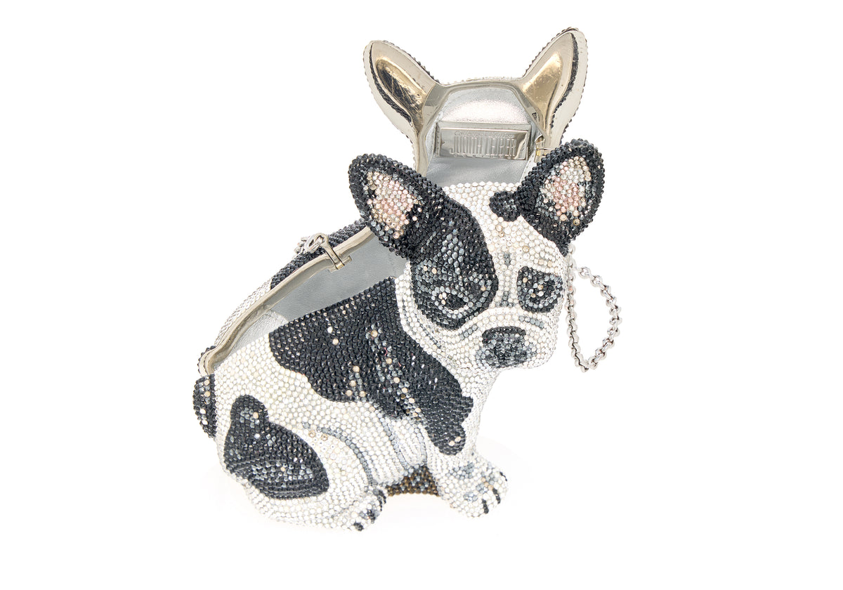 French Bulldog Fred