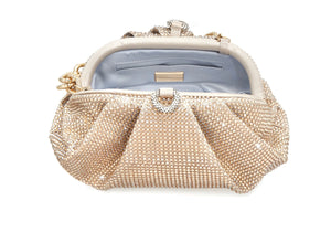 Gemma Crystal Prosecco Purse-3