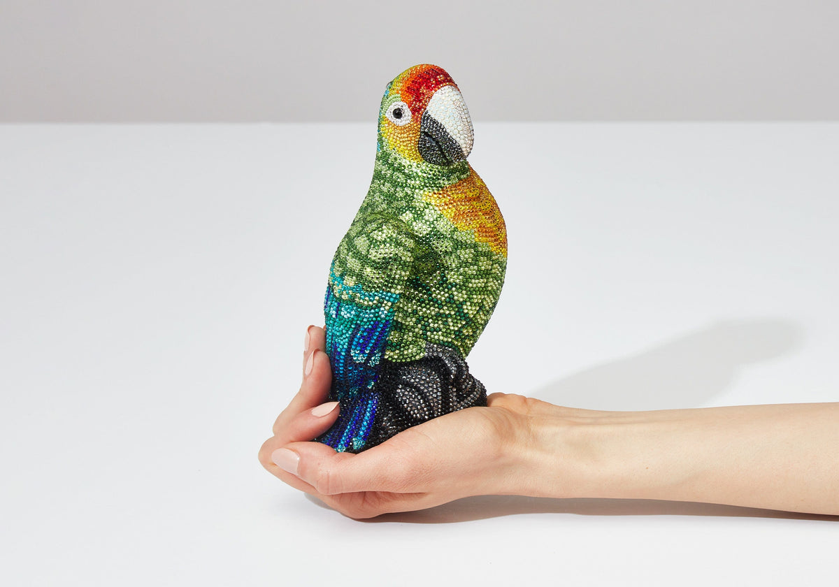 Parrot Paolo