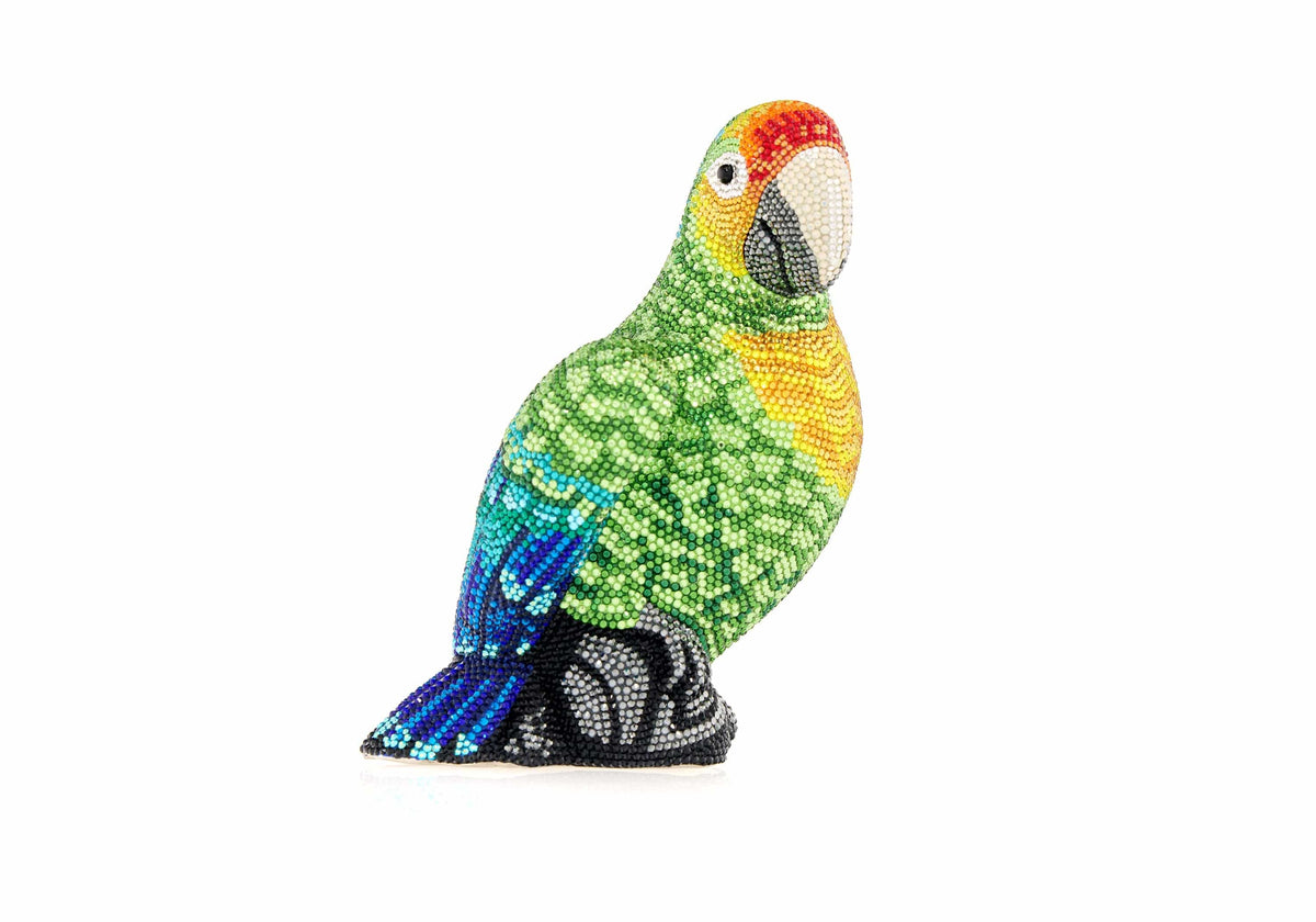 Parrot Paolo