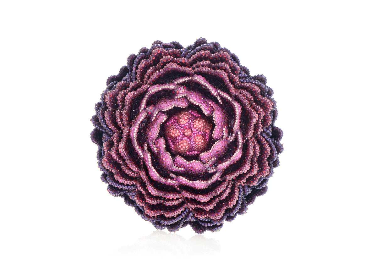 Peony Belladonna