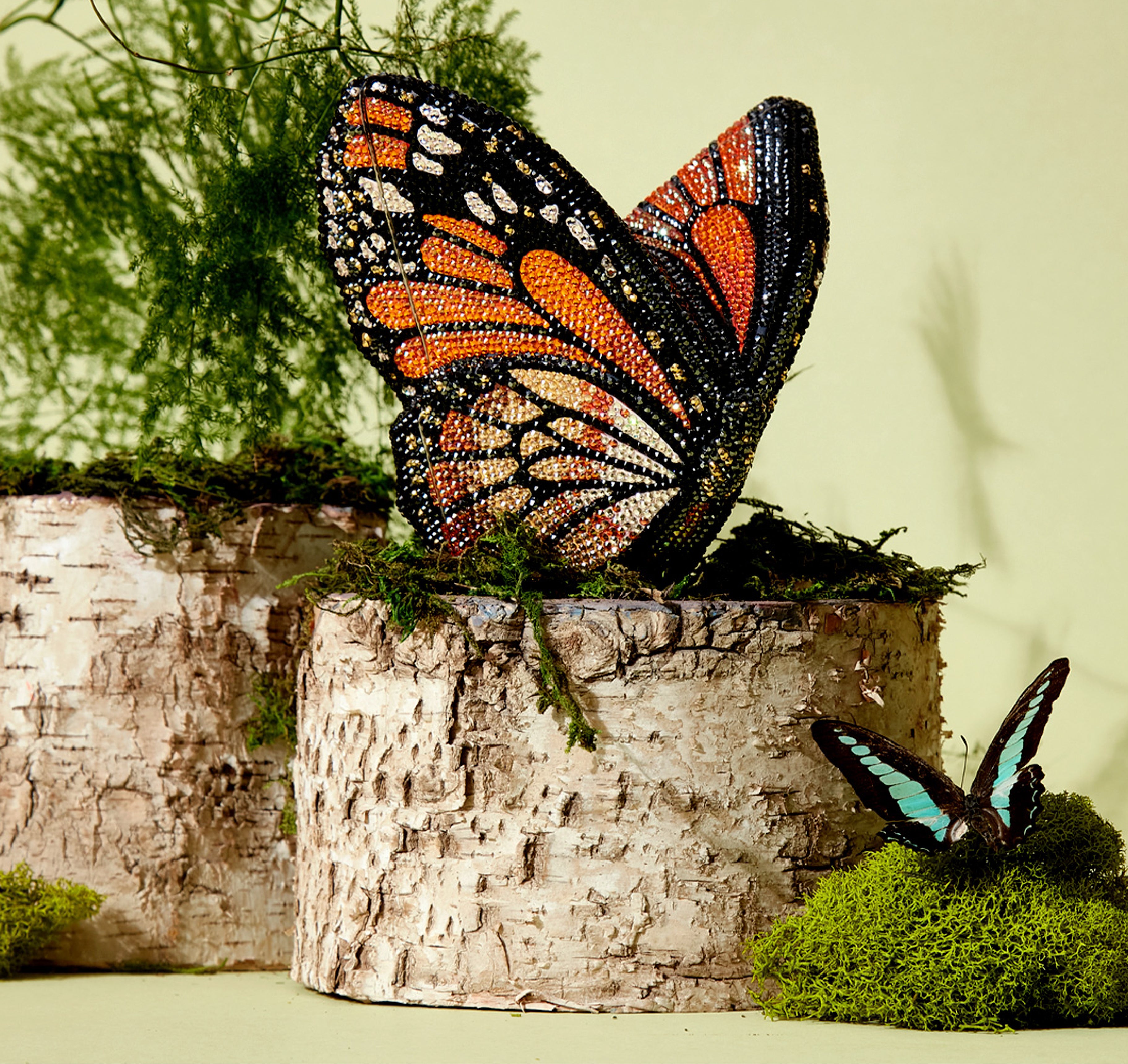 Categories Mobile Image