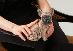 French Bulldog Pierre