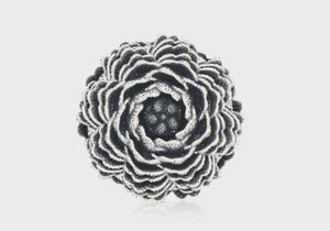 Peony Moonbeam-5