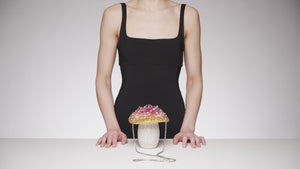 Mushroom Toadstool-6