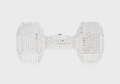 Dumbbell Disco