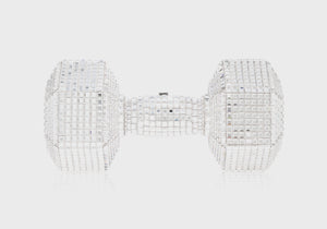 Dumbbell Disco-5