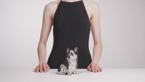 French Bulldog Fred-5
