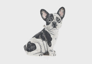 French Bulldog Fred-4