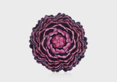 Peony Belladonna