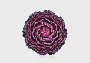 Peony Belladonna-5