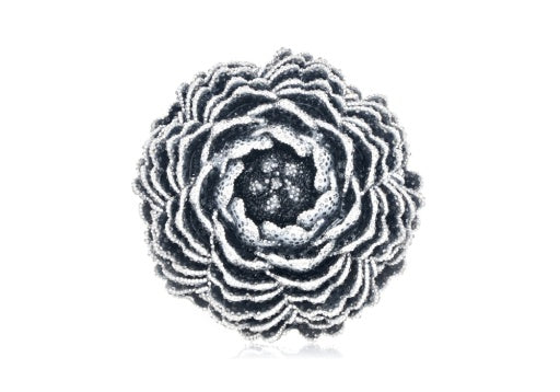Peony Moonbeam