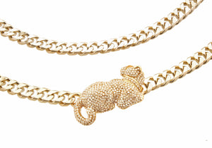 Wildcat Belt Champagne-3