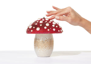 Katy Perry Mushroom-4