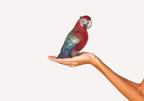 Parrot Scarlet